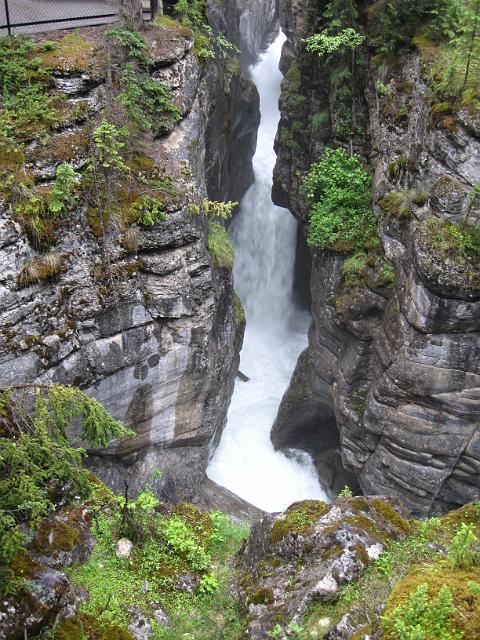 Canadian Rockies-263.JPG - Maligne Canyon